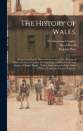 The History of Wales.: Comprehending the Lives and Succession of the Princes of Wales, From Cadwalader the Last King, to Lhewelyn the Last Prince, of British Blood.: With a Short Account of the Affairs of Wales, Under the Kings of England.