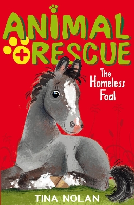 The Homeless Foal - Nolan, Tina