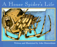 The House Spider's Life - 