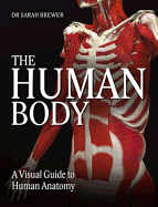 The Human Body: A Visual Guide to Human Anatomy