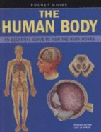 The Human Body: An Essential Guide to How the Body Works
