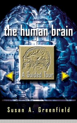 The Human Brain: A Guided Tour - Greenfield, Susan A