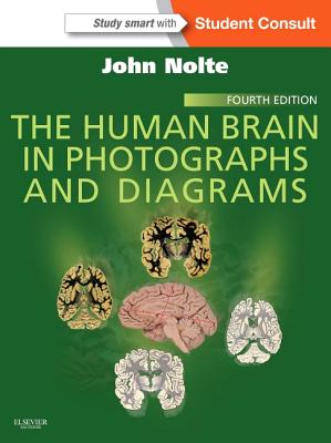 The Human Brain in Photographs and Diagrams - Nolte, John, PhD