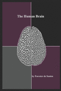 The Human Brain