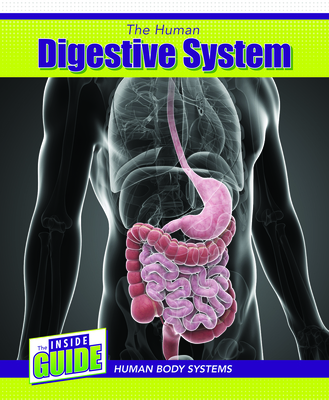 The Human Digestive System - Lawton, Cassie M