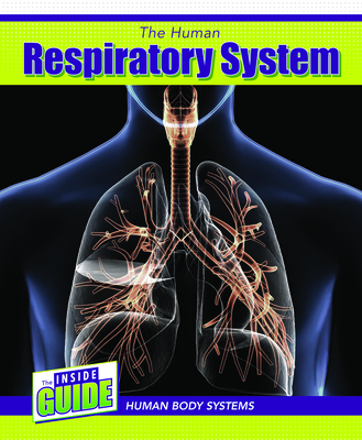 The Human Respiratory System - Lawton, Cassie M