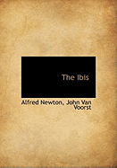 The Ibis