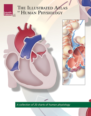 The Illustrated Atlas of Human Physiology: A Collection of 20 Anatomical Charts of Human Physiology - Scientific Publishing