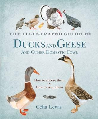 The Illustrated Guide to Ducks and Geese and Other Domestic Fowl: How To Choose Them - How To Keep Them - Lewis, Celia