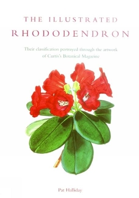 The Illustrated Rhododendron - Halliday, Pat