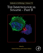 The Immunological Synapse - Part B: Volume 178