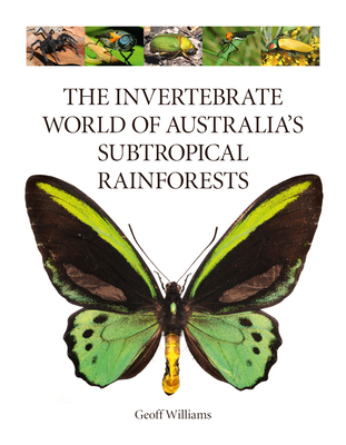 The Invertebrate World of Australia's Subtropical Rainforests - Williams, Geoff