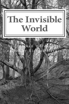 The Invisible World: Lectures on British Romantic Poetry and the Romantic Imagination - Haynes, Richard, and Wordsworth, Jonathan