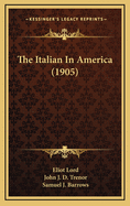 The Italian in America (1905)
