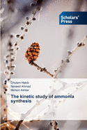 The kinetic study of ammonia synthesis