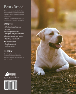The Labrador: Your Essential Guide from Puppy to Senior Dog - Craig, David, Dr.