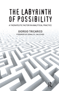 The Labyrinth of Possibility: A Therapeutic Factor in Analytical Practice