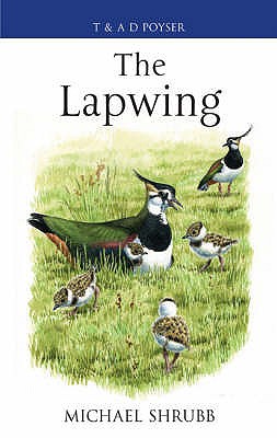 The Lapwing - Shrubb, Michael