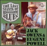 The Last Giants of Mississippi Blues - Jack Owens