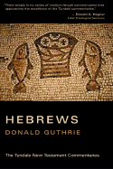 The Letter to the Hebrews: An Introduction and Commentary