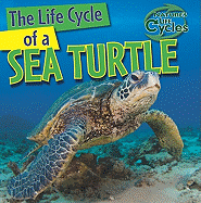 The Life Cycle of a Sea Turtle
