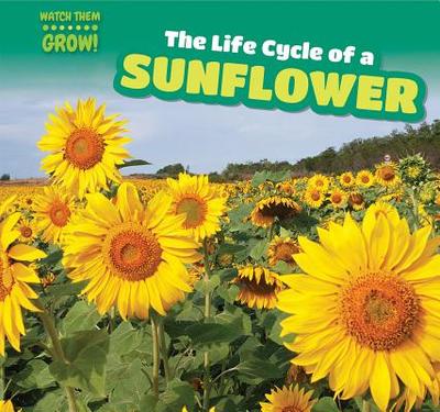 The Life Cycle of a Sunflower - Phelps, Bonnie