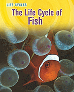 The Life Cycle of Fish