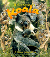 The Life Cycle of the Koala
