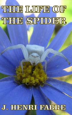 The Life of the Spider - Fabre, J Henri