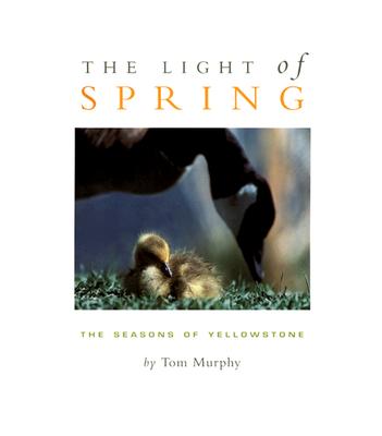 The Light of Spring: The Seasons of Yellowstone - Murphy, Tom