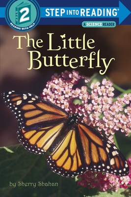 The Little Butterfly - 
