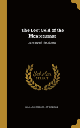 The Lost Gold of the Montezumas: A Story of the Alamo