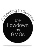 The Lowdown on GMOs: According to Science