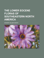 The lower Eocene floras of southeastern North America