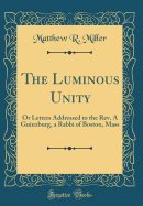 The Luminous Unity: Or Letters Addressed to the Rev. a Guinzburg, a Rabbi of Boston, Mass (Classic Reprint)