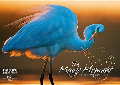 The Magic Moment: Extraordinary Photographs of Nature - Levin, Anna (Text by), and Nature Picture Library (Photographer)