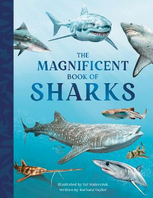 The Magnificent Book of Sharks - Taylor, Barbara