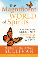 The Magnificient World of Spirits: Eyewitness Accounts of Where We Go When We Die