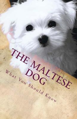 The Maltese Dog: What You Should Know - Santos, Victor