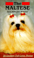 The Maltese the Maltese Dog