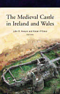 The Medieval Castle in Ireland and Wales: Essays in Honour of Jeremy Knight