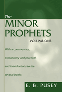 The Minor Prophets, 2 Volumes: With a Commentary, Explanatory and Practical, and Introductions to the Several Books