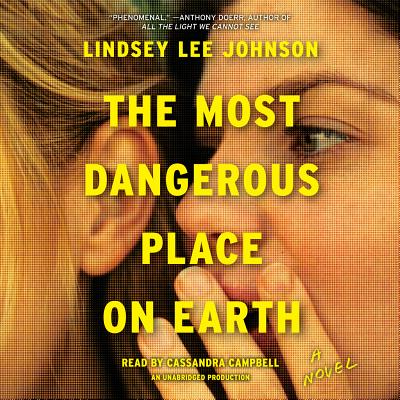 The Most Dangerous Place On Earth - Johnson, Lindsey Lee