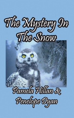 The Mystery In The Snow - Hillan, Pamela, and Dyan