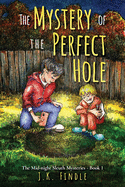 The Mystery of the Perfect Hole