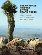 The Natural History of the Trans-Pecos: Desert Legends, Rugged Grandeur, and the Big Bend