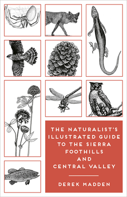 The Naturalist's Illustrated Guide to the Sierra Foothills and Central Valley - Madden, Derek, and Charters, Ken, and Madden, Erinn