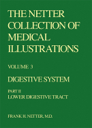 The Netter Collection of Medical Illustrations - Digestive System: Part II - Lower Digestive Tract - Netter, Frank H, MD