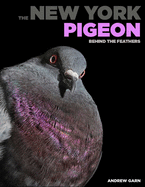 The New York Pigeon: Behind the Feathers