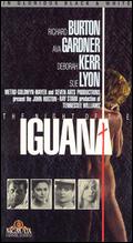 The Night of the Iguana - John Huston